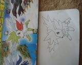 シェイミ☆ポケモンのキャラ弁作り方1写真