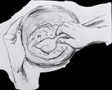 【イラスト付き】オニオンプレッツェル作り方4写真