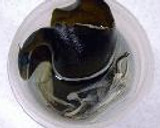 和のき・ほ・ん・毎日のだし作り方5写真