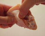 手羽先の骨の抜き方（手羽先餃子編）作り方4写真