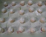 おからで★なんちゃってスノーボール作り方4写真