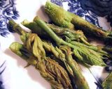 春が旬★うどの芽のゴマ和え作り方1写真