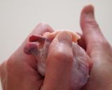 手羽先の骨の抜き方（チューリップ編）作り方4写真