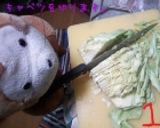 ラスカル君のそば飯作り方1写真