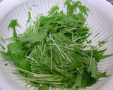 簡単☆水菜のサラダ作り方1写真
