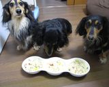 鍋１つ！みるくピラフ（犬ご飯）作り方8写真