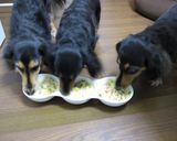鍋１つ！みるくピラフ（犬ご飯）作り方9写真