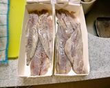 アジの押し寿司作り方8写真