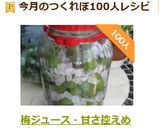 梅ジュース　爽やかな甘さ！作り方12写真