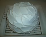 炊飯器で簡単☆ドームケーキ作り方13写真