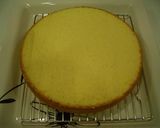 炊飯器で簡単☆ドームケーキ作り方12写真