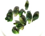 蕗の薹入りの大きな焼売　発酵新玉葱作り方3写真