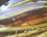 美味で旨い☆ふきのとうの茎のおかか煮作り方2写真