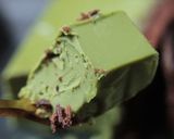 抹茶ワインde❖ランゴ・オ・ショコラ作り方50写真