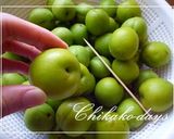 梅のビール煮作り方3写真