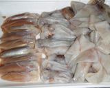 肝入り♪濃厚♪烏賊カレー♪作り方1写真