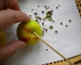 長澤家の梅酒作り方4写真