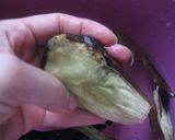 簡単焼きなす✿魚焼きグリルにて作り方3写真