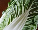 白菜の芯の辛味和え作り方1写真