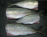 スッキリ味♪丸アジの梅煮（煮付け）作り方1写真