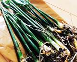 旨ッ！茗荷の新芽 茗荷竹のごま油がけ作り方1写真