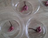 三つの春☆梅桃桜の寒天ゼリー作り方1写真