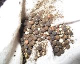 鶏の丸焼き ドイツレシピ作り方1写真