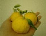 こてさっぱり！？　柚子風味の茹で豚作り方8写真