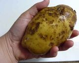 簡単♪じゃがベーのぷちグラタン作り方1写真