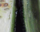 ☆夏野菜のラタトゥイユ☆(◔‿◔)☆作り方3写真