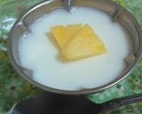 電子レンジで簡単☆ふるふる牛乳かん作り方3写真