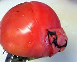 トマトとナスのしんぷるグラタン作り方4写真