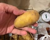 ポテト・パヴェ作り方1写真