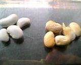 白花豆の白餡作り方1写真