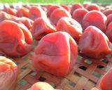 絶対お薦め！減塩梅干しの袋漬け♪作り方46写真
