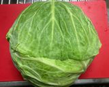 限界キャベツ塩昆布作り方1写真