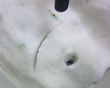 いさき塩釜作り方18写真
