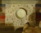 犬ごはん「野菜のあんかけうどん」作り方9写真