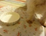 犬ごはん｢チーズこんがりポテトグラタン｣作り方8写真