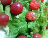 フレッシュプチトマトのサラダ作り方5写真