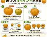 保存版✅甘くてみずみずしい呉羽梨（幸水）の選び方作り方1写真