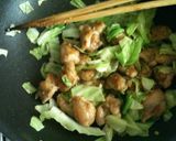 キャベツとチキンのアジアン炒め作り方4写真