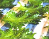 ***大葉海苔チーズ★ソース***作り方2写真