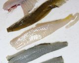 食べ尽くす…カレイ（小）の唐揚げ！作り方6写真