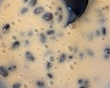 もやしと豚肉のヨーグルト納豆スープ作り方1写真