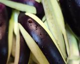 ナスの豚バラ巻き生姜焼き作り方1写真