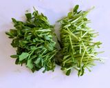 豆苗ともやしの梅風味豚しゃぶサラダ作り方2写真