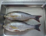 シンプルに！鯵(アジ)の塩焼き作り方22写真