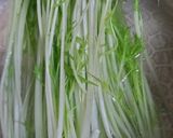 彩り白菜巻き＊お正月に作り置き具材作り方2写真