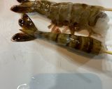 パパ　茹でエビのお寿司作り方2写真